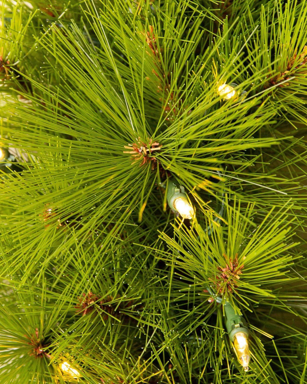 Árvore de Natal Verde Monterey Pine com Galhos Longos, Suporte Metálico e Micro LEDs Embutidos