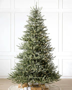Árvore de Natal Sanibel Spruce com Galhos Articulados, Suporte Metálico e Micro LEDs Embutidos